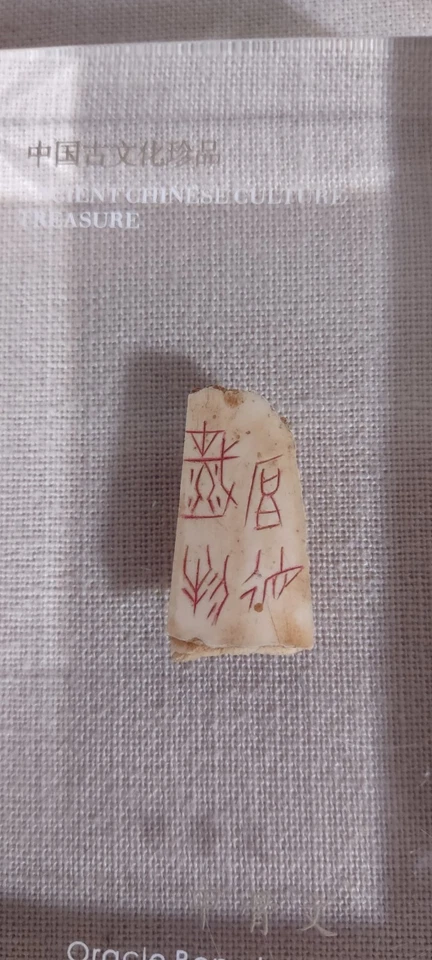Fragmento de hueso de oráculo chino antiguo recubierto 4,5" X 3" Foto 3 de 4
