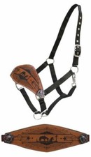 Brand New Nylon Horse Halter with Leather Noseband wit Praying Cowboy  Conchos