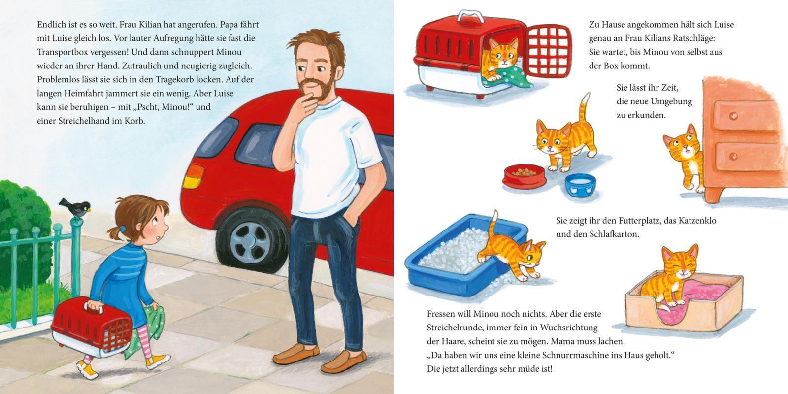 Thumbnail - Lesemaus 175: Die Kleine Katze - Alles, Was Du Wissen Willst Susa