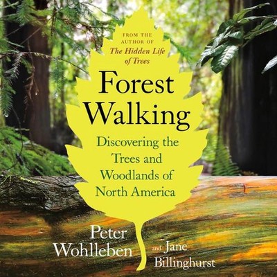 Forest Walking: Discovering the Trees and Woodlands of North America by Peter Wo