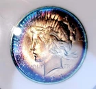 1923-P Peace Silver Dollar Ms66 Amazing Toned