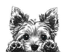 Yorkie YORKSHIRE TERRIER Puppy Personalized Embroidered Fleece Stadium Blanket