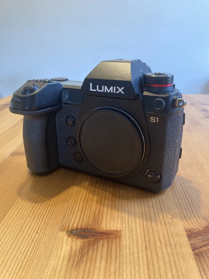 Panasonic Lumix S1, photo 2 of 5