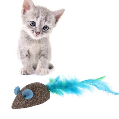 edible cat toys