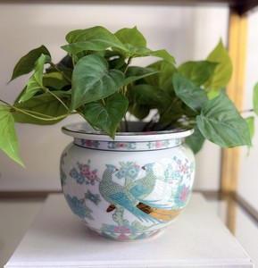 Imari Planter | eBay