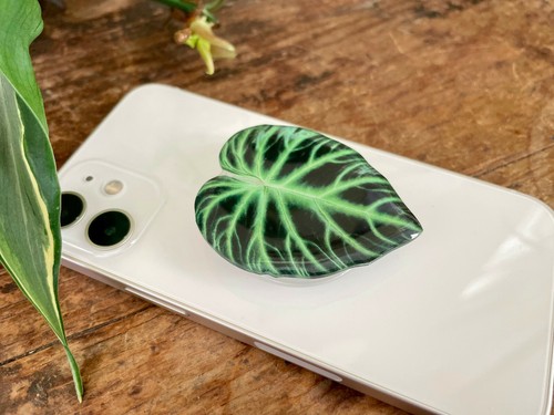 Rare Plant/Leaf Phone Grip ✨ - Picture 68 of 110