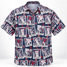 St. Louis Cardinals Collecting and Fan Guide 3