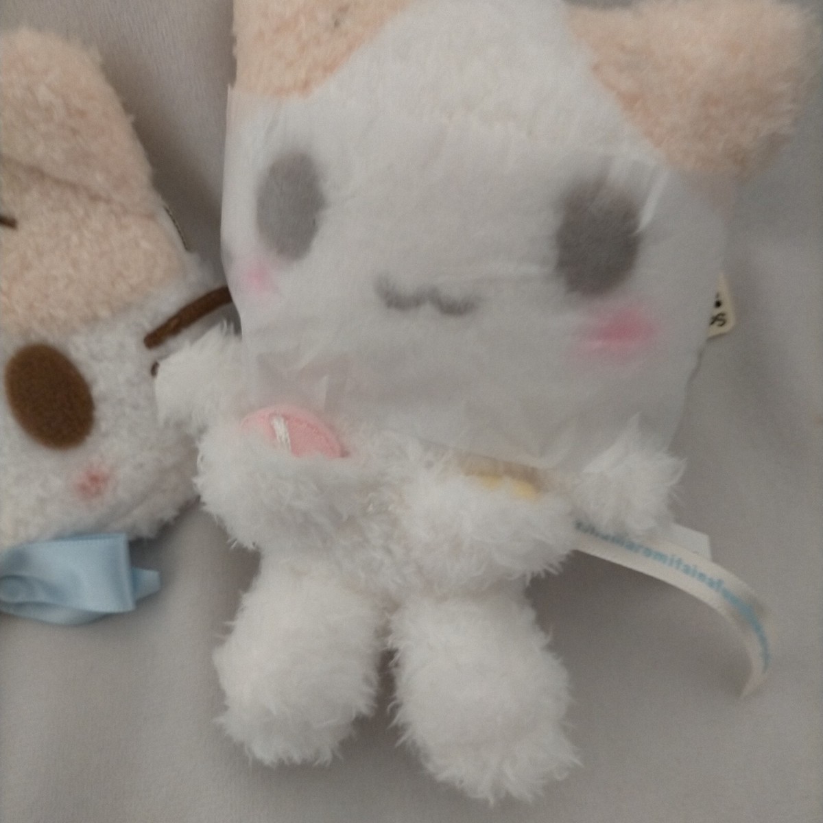 Sanrio Mashumaro Mitaina fuwafuwa nyanko stuffed toy key holder