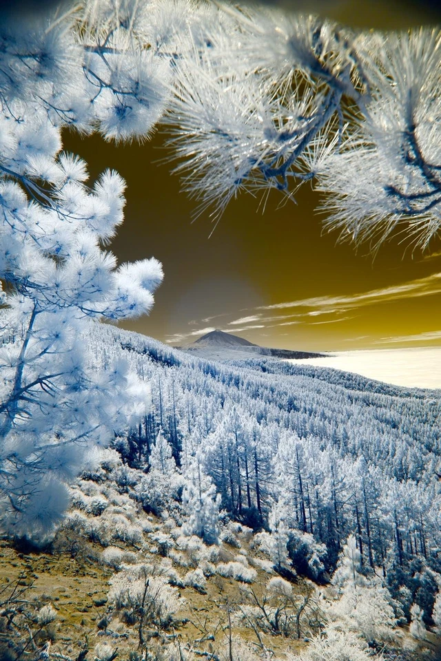 Infrared 720nm Filter 58mm IR   720nm   ***  See ***Video***   UK Seller - Image 3 of 4