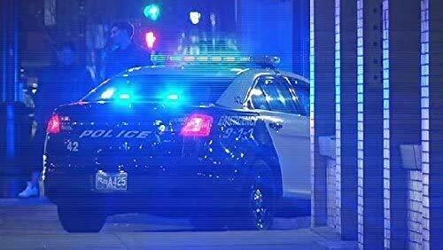 WigWagger 72 ALTERNATING EMERGENCY POLICE Flatbed WIG WAG FLASHER LED STROBE - Picture 6 of 10