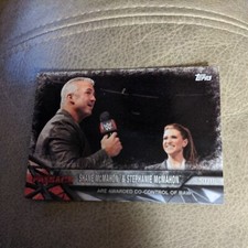 2017 WWE Road to WrestleMania #82 Shane & Stephanie McMahon Payback Wrestling 