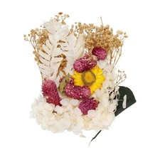 Natural Dried Flower Set, Dried Pressed Flowers White 