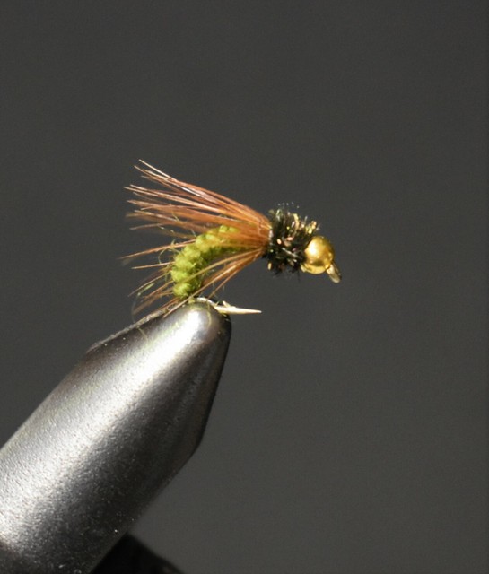 2 Flies, Size 14, BH Bead Head PM Caddis Nymph Fly Fishing Flies eBay