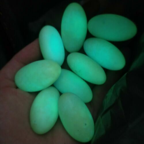 1kg Glow In The Dark Tibetan Wealth God Ancient Luminous Egg Old Dzi Bead - Picture 2 of 9