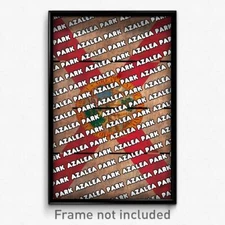 Azalea Park Florida Poster (FL City Souvenir 11x17 Town Print)