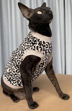 Kotomoda Cat T-Shirt White Leopard Velour for Sphynx and Hairless   Small