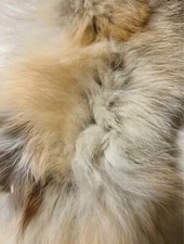 Collo in 100% vera pelliccia di volpe 