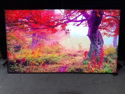 Samsung QN85C 85'' Neo QLED Smart TV (4K) QN85QN85CAFXZA     READ!!!