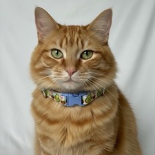Mini Strawberries On White Handmade, Safety Cat Collar Unisex Blue Buckle