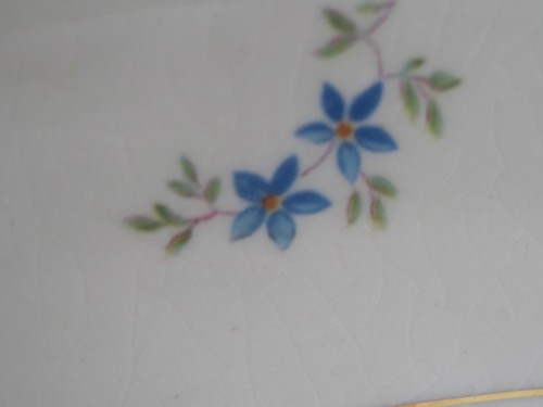 VINTAGE PAPST GOSSER "REVERE" GOLDBESETZT, FLORAL 7 1/8" X 9 3/4" SERVIERSCHALE - Bild 3 von 10