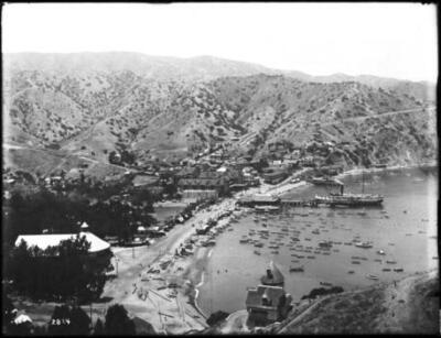 Avalon Harbor showing crowds walking along the harbor Santa Catali - Old Photo