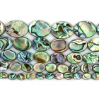 8-20mm Natural abalone shell flat oval loose beads strand 16"