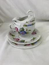 Burleigh Ware Tea Set 5 Pc Cup Saucer Plate Cream Sugar Morning Glories Floral