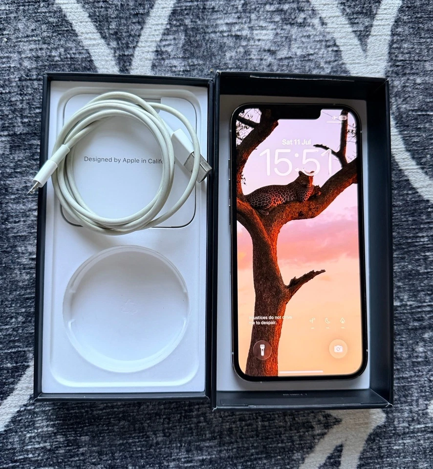 Apple iPhone 13 Pro · 1TB, photo 1 of 5