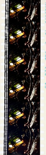 Jurassic Park 1993 Very Rare Unmounted 35mm Film Cells - Steven Spielberg - Picture 105 of 142