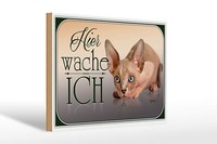Holzschild Katze 30X20 Cm Sphynx Hier Wache Ich Holz Deko Schild Wooden Sign
