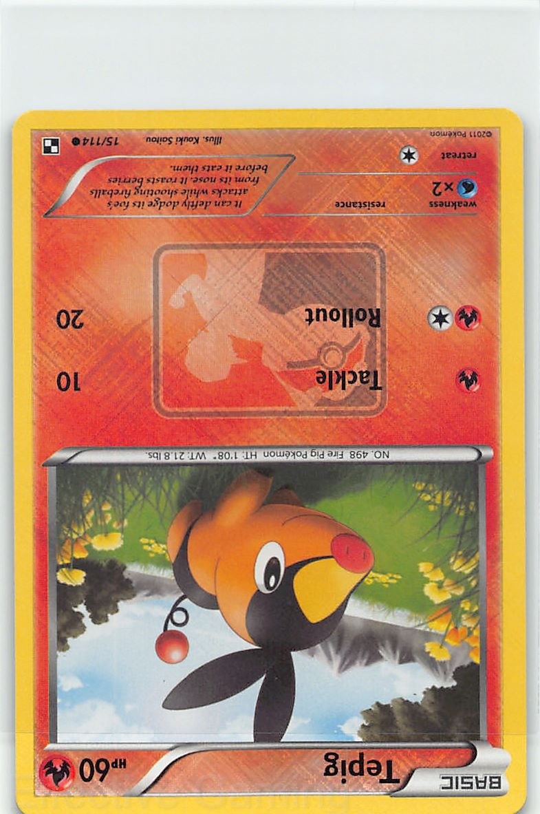 Tepig (League Promo) 15/114 Holo League & Championship Cards Pokemon NM Saitou