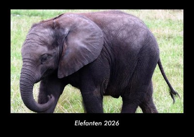 Tobias Becker | Elefanten 2026 Fotokalender DIN A3 | Kalender | Deutsch | 2026
