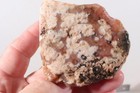 Morocco Agate lapidary 6.5 oz  Nodule faced rough lot Ar — photo 5