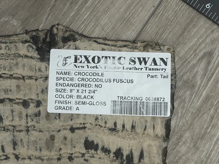 Cola de vientre de cocodrilo genuino negro piel de cuero cocodrilo real 872 Foto 3 de 4