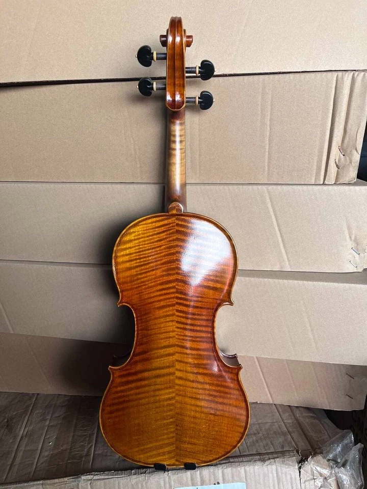 Hermoso violín 4/4 profesional nuevo hecho con orgullo en China Foto 2 de 4