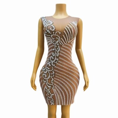 Customized Long Sleeve Mesh lace TransparentHigh Elastic SequinsSexy Tight  Dress | eBay