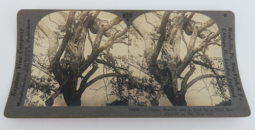 Strange Freak of a High Explosive Shell in the Argonne World War 1 ...