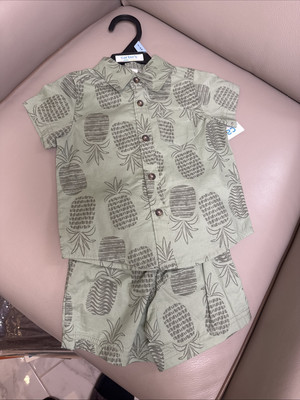 Carters Baby Boy Size 3-6M 2 Piece Outfit Set Green Pineapple Shirt And Shorts