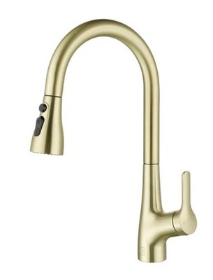 Elegant Lighting FAK-305BGD Andrea 1.8GPM Single Hole Pull Down Kitchen Faucet 