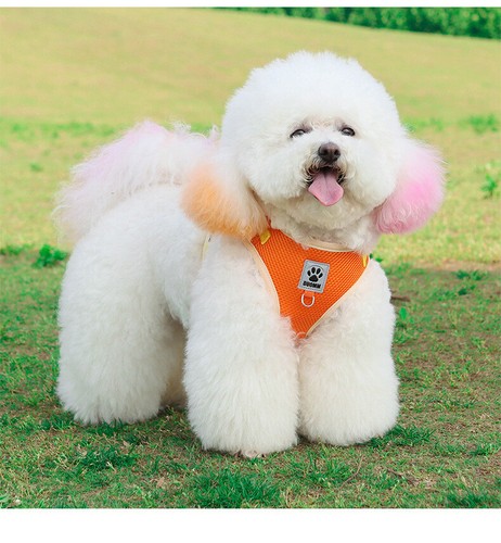 Small Dog Vest Collar Soft Chest Strap XS-XL Leash Set Breathable Mesh Harness - Picture 12 of 25