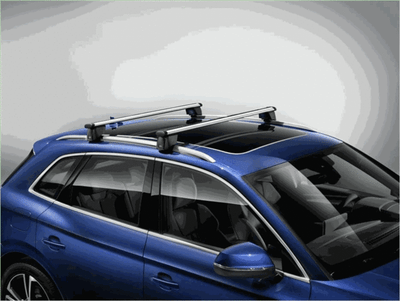 Genuine Audi Base Carrier Bars 80A 071 151 eBay