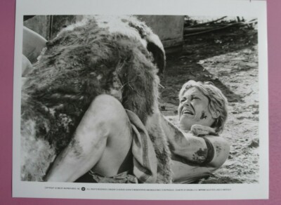 X170 Pressefoto - Dee Wallace - CUJO 1983 #3