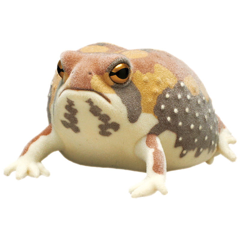 Nature Techni Colour FLOCKY Common Rain Frog Covered with Mud