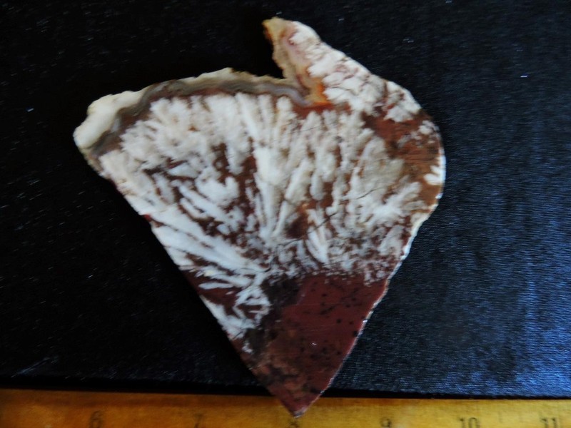 1 NICE SLAB, 2,8 OZ. WEIGHT, OF SNOW PLUME AGATE JASPER