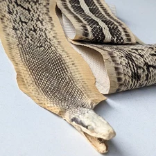 Tanned Head-on Rat Snakeskin Taxidermy  Decoration with Natural Eyes NO Tail