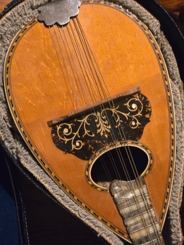 vintage American Conservatory Bowl Back Mandolin - in case