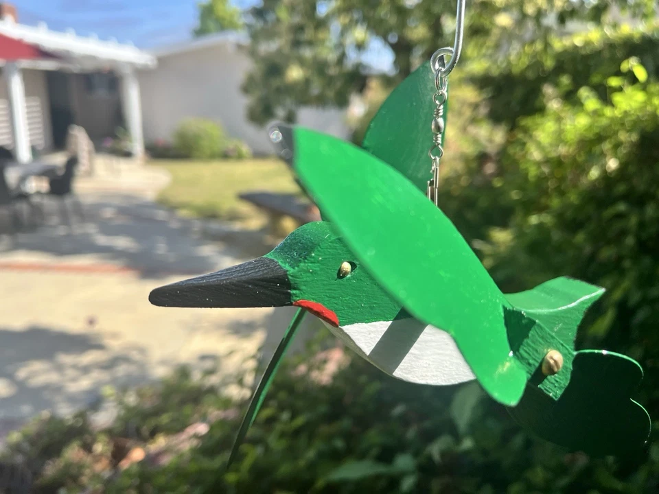 Colibrí remolino #1 Foto 3 de 4