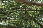 Bild 8 von 24