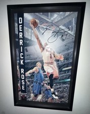 Derrick Rose Signed Autographed Pop Out 3D Bulls Photo Steiner 12/50 Very Rare