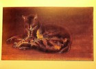 Cat Art Postcard T A Steinlen Cat on the Floor Etching Reproduction Unused  — photo 3